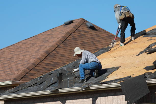 Best Slate Roofing  in Willis, TX